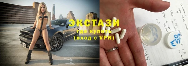 ECSTASY Гусь-Хрустальный